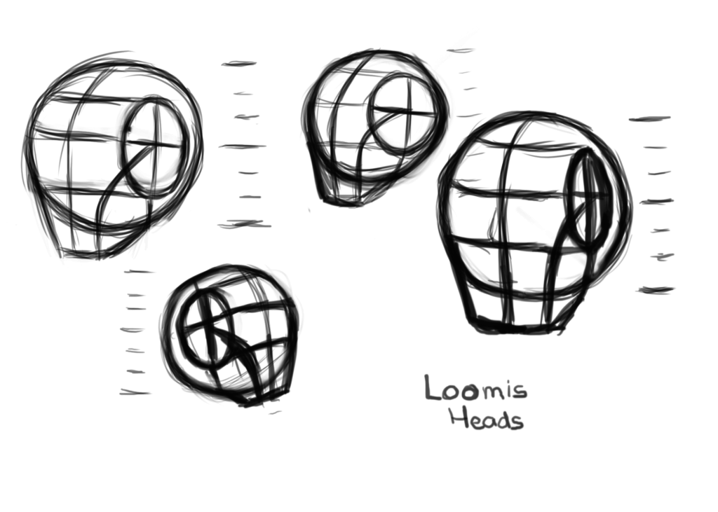 Loomis Heads